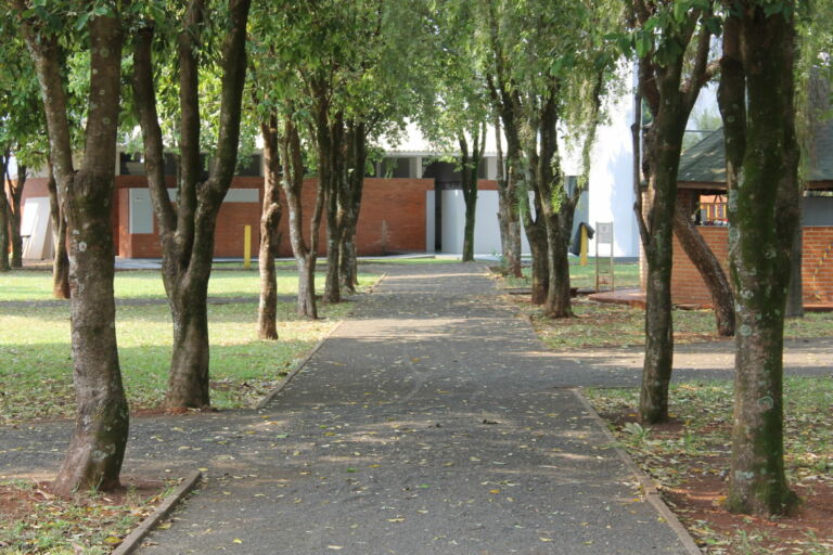 Pista de caminhada